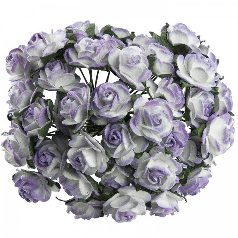 Papierové kvety sú vyrobené z kvalitného mulberry papiera. Tieto úžasné kvietky s drôtenými nožičkami možno použiť ako ozdoby pre scrapbooking a c