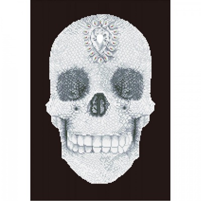 Diamond dotz, Crystal Skull, 60 x 42 cm