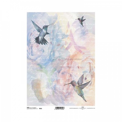 Ryžový papier na decoupage, A4, kolibrík