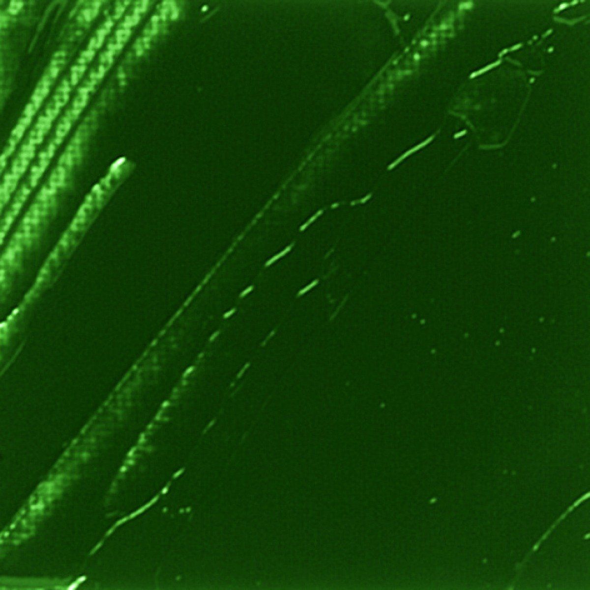 Studio XL 37 ml, 18 Phthalocyanine emerald